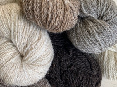 Flower Hill Fleeces: October 2023&nbsp;Vendor